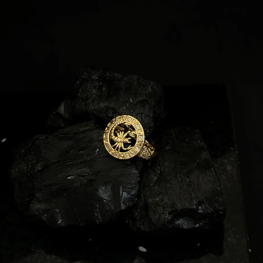 Anillo Alacrán En Circulo de Detalles Cristales Con Marcado Barroco Para Hombre + Envío Gratis